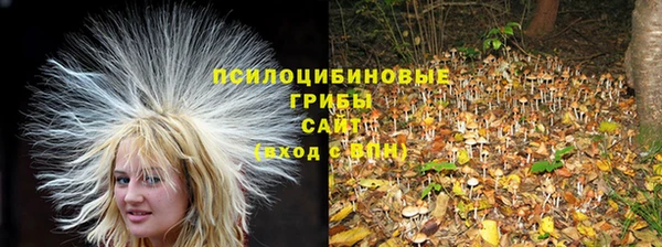 ALPHA-PVP Вязники