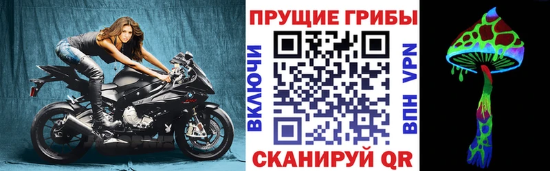 Галлюциногенные грибы прущие грибы  Калуга 