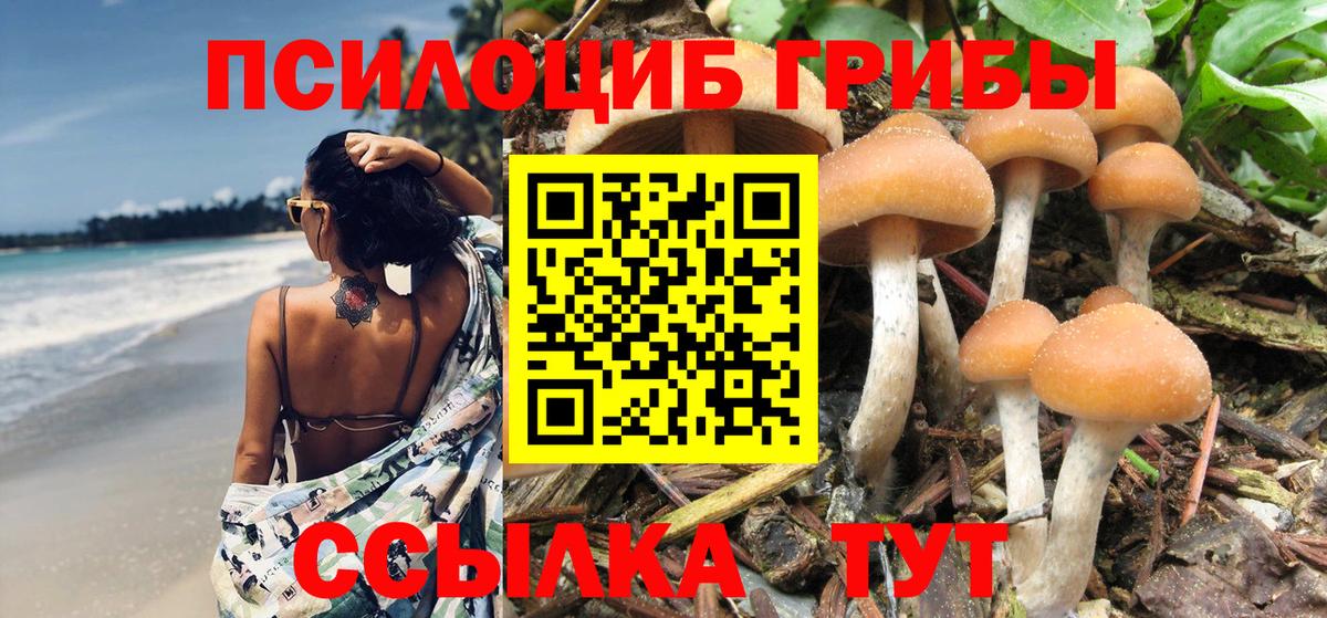 Галлюциногенные грибы Cubensis Калуга
